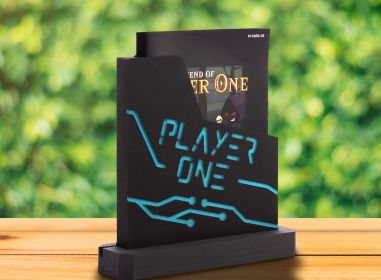 Porte-cartes NES